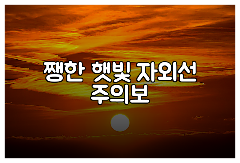 쨍한 햇빛 자외선 주의보