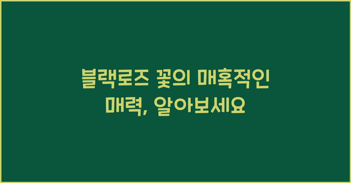 블랙로즈 꽃의 매혹적인 매력