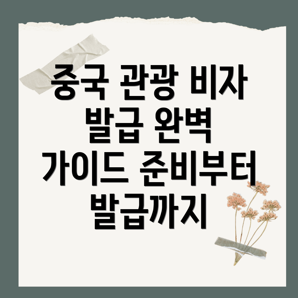 중국 관광 비자