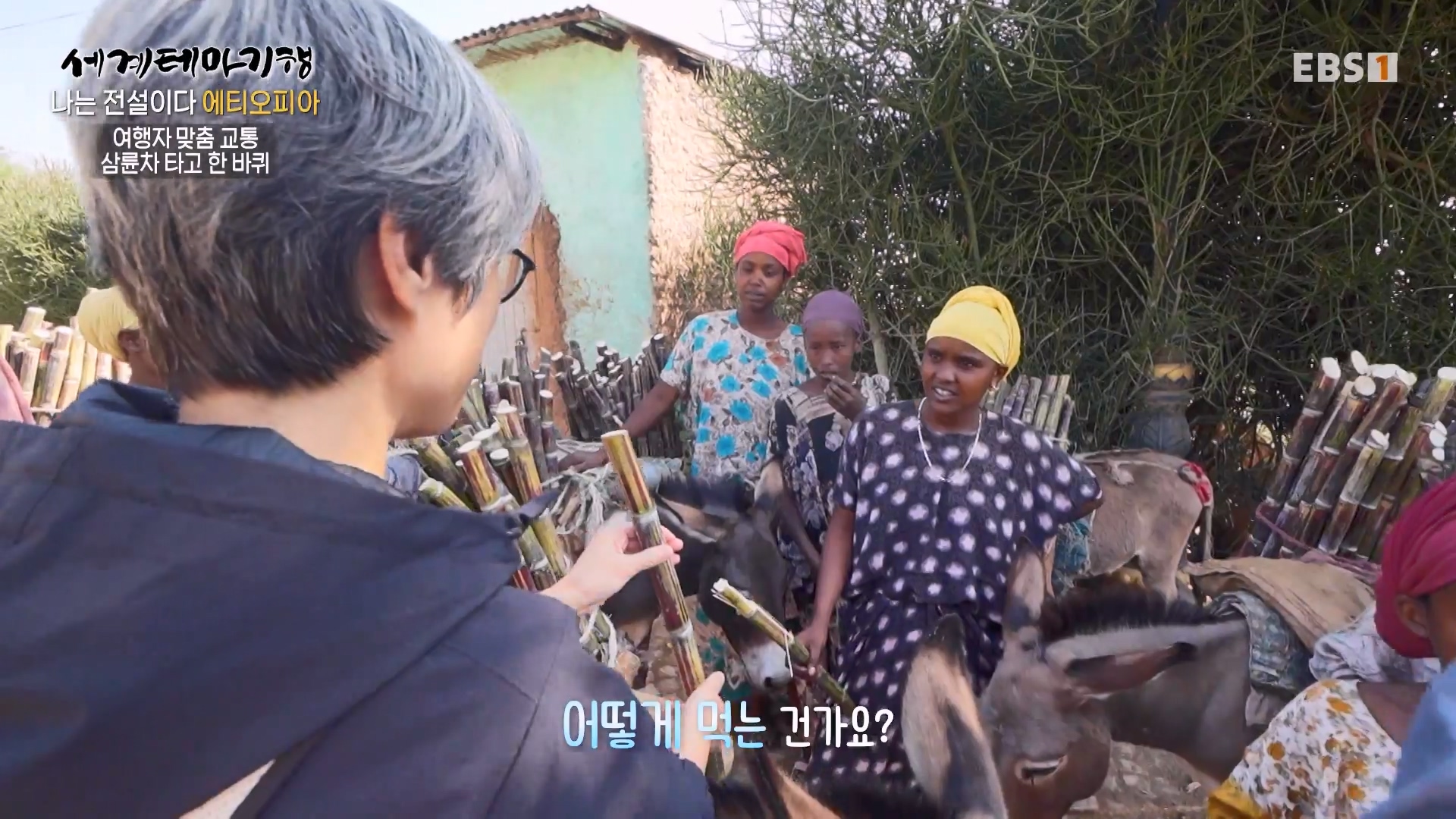 세계테마기행 240116 나는 전설이다 에티오피아 -골목의 전설, 하라르0p.mp4_20240713_174143.432.jpg