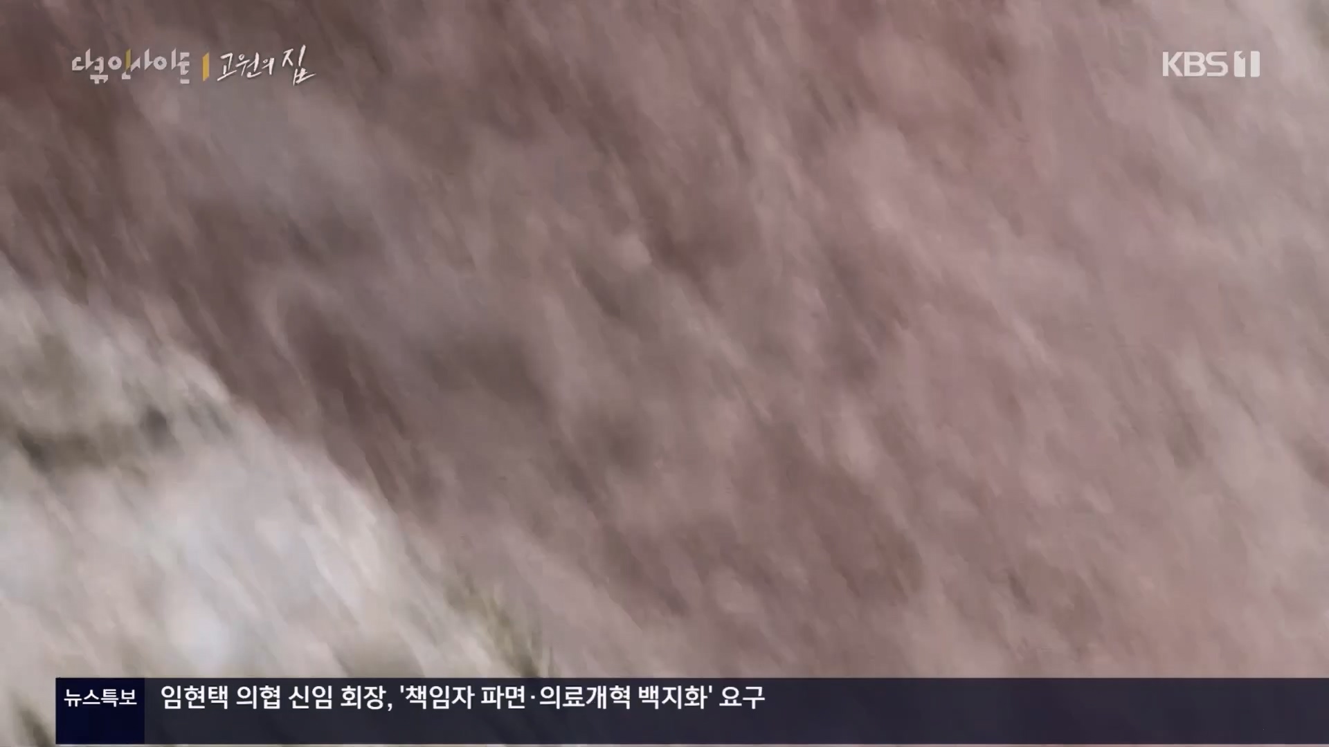 다큐 인사이트.E176.240328p.H264-F1RST.mp4_20240330_162859.824.jpg