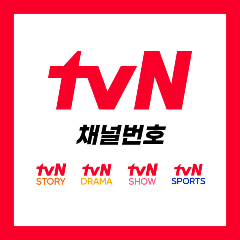 tvn 채널번호 안내
