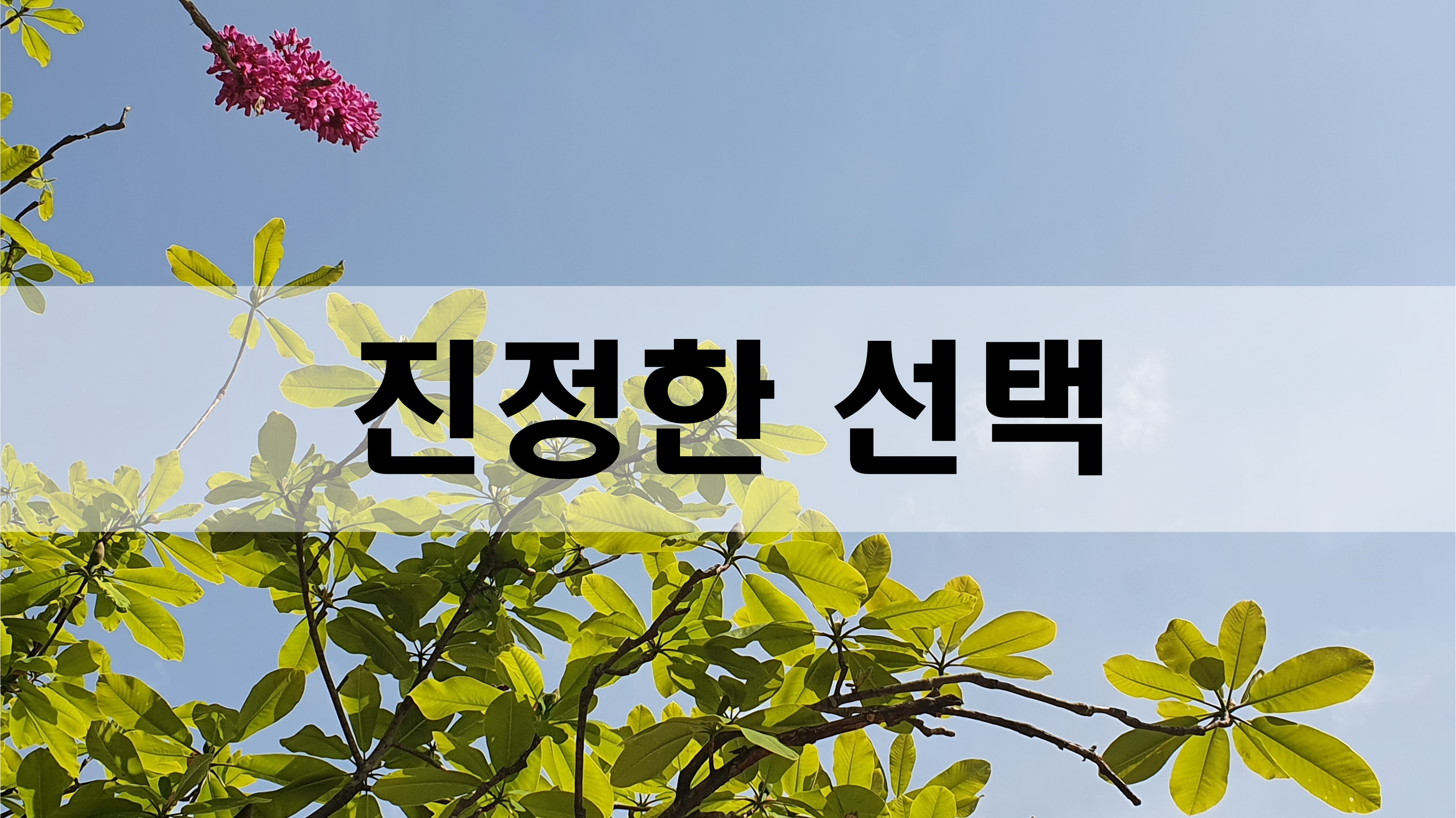  진정한 선택 [성장 명언]
