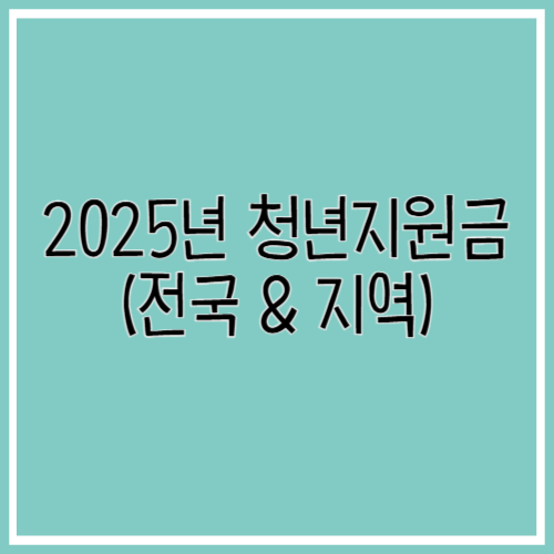 2025년 청년지원금 총정리: 전국 및 지역별 최신 정보