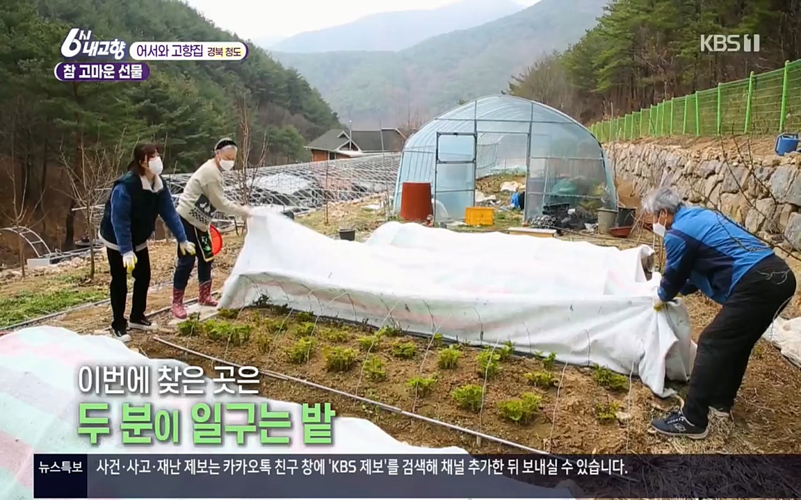 6시 내고향.E7498.220329p.H264-F1RST.mp4_20220329_184037.978.jpg