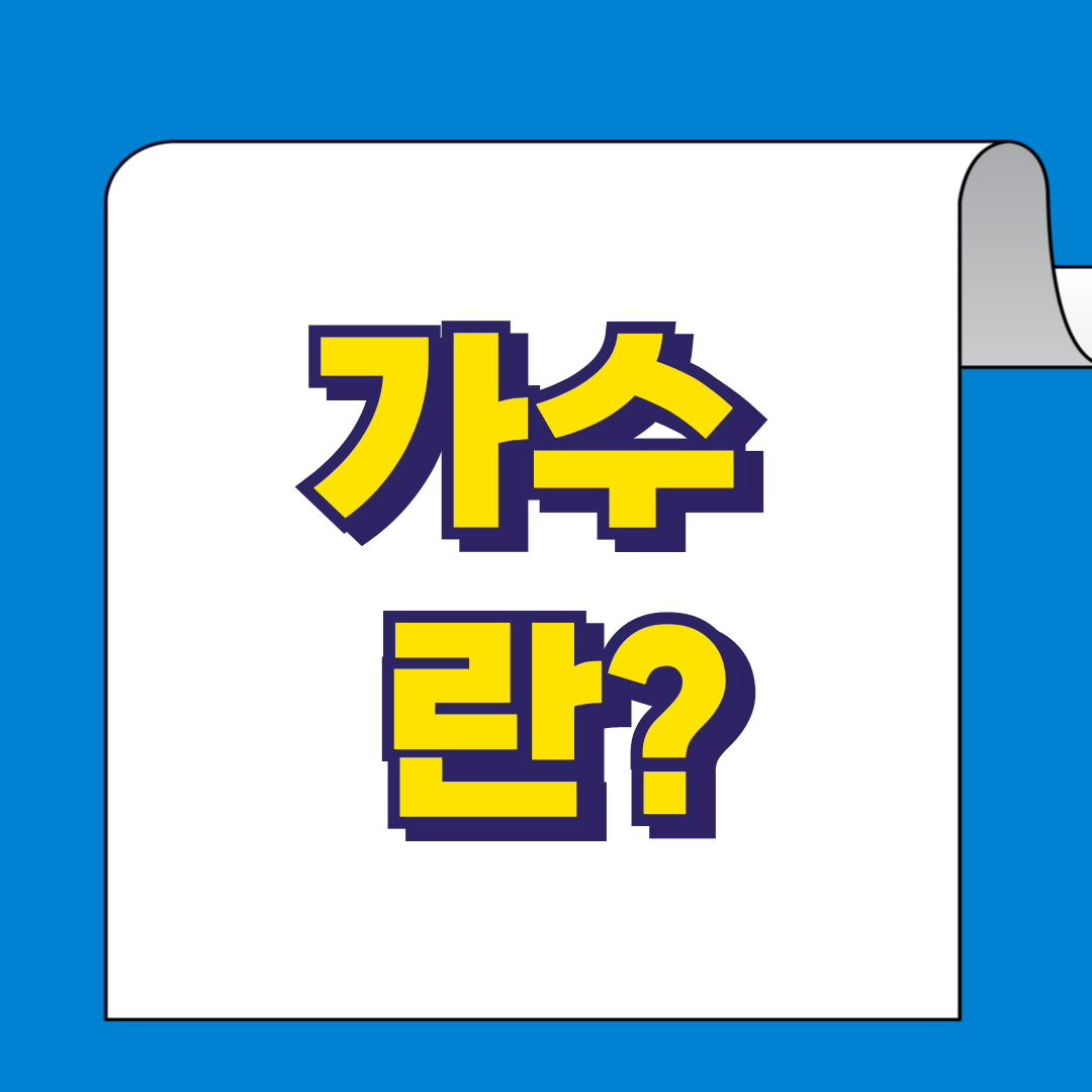 가수