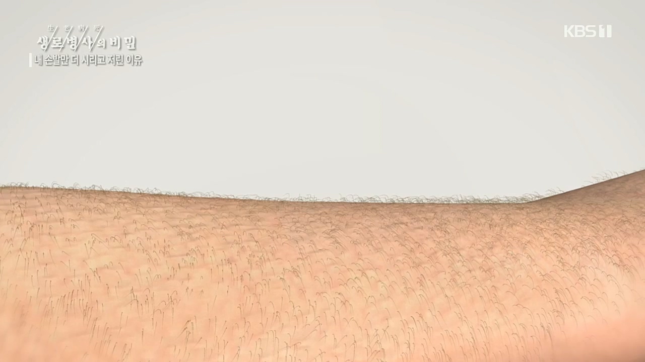 생로병사의 비밀.E847.221215p.H264-F1RST.mp4_20221215_202315.394.jpg