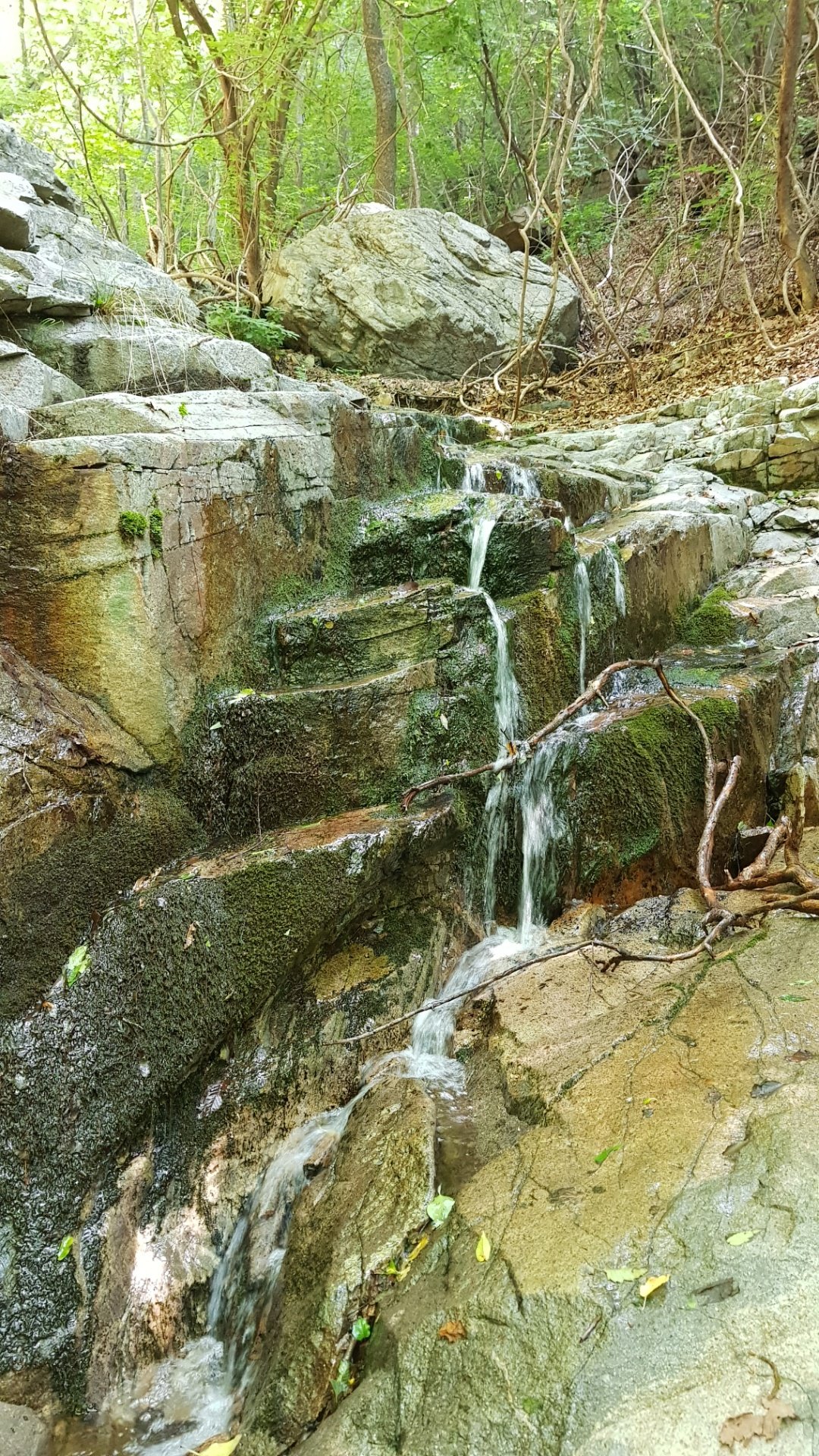 울산 고헌산 대통골 이끼폭포