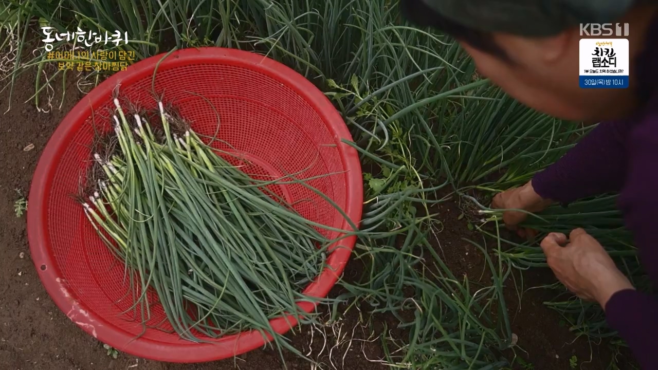 동네 한 바퀴.E275.240526p-NEXT.mp4_20240526_162439.141.jpg