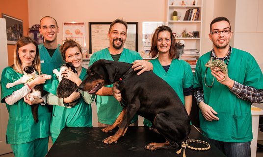 동물병원 수의사들과 치료받는 강아지들의 단체 사진 모습