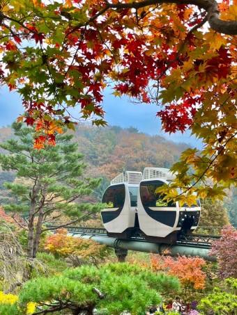 화담숲 사전예약