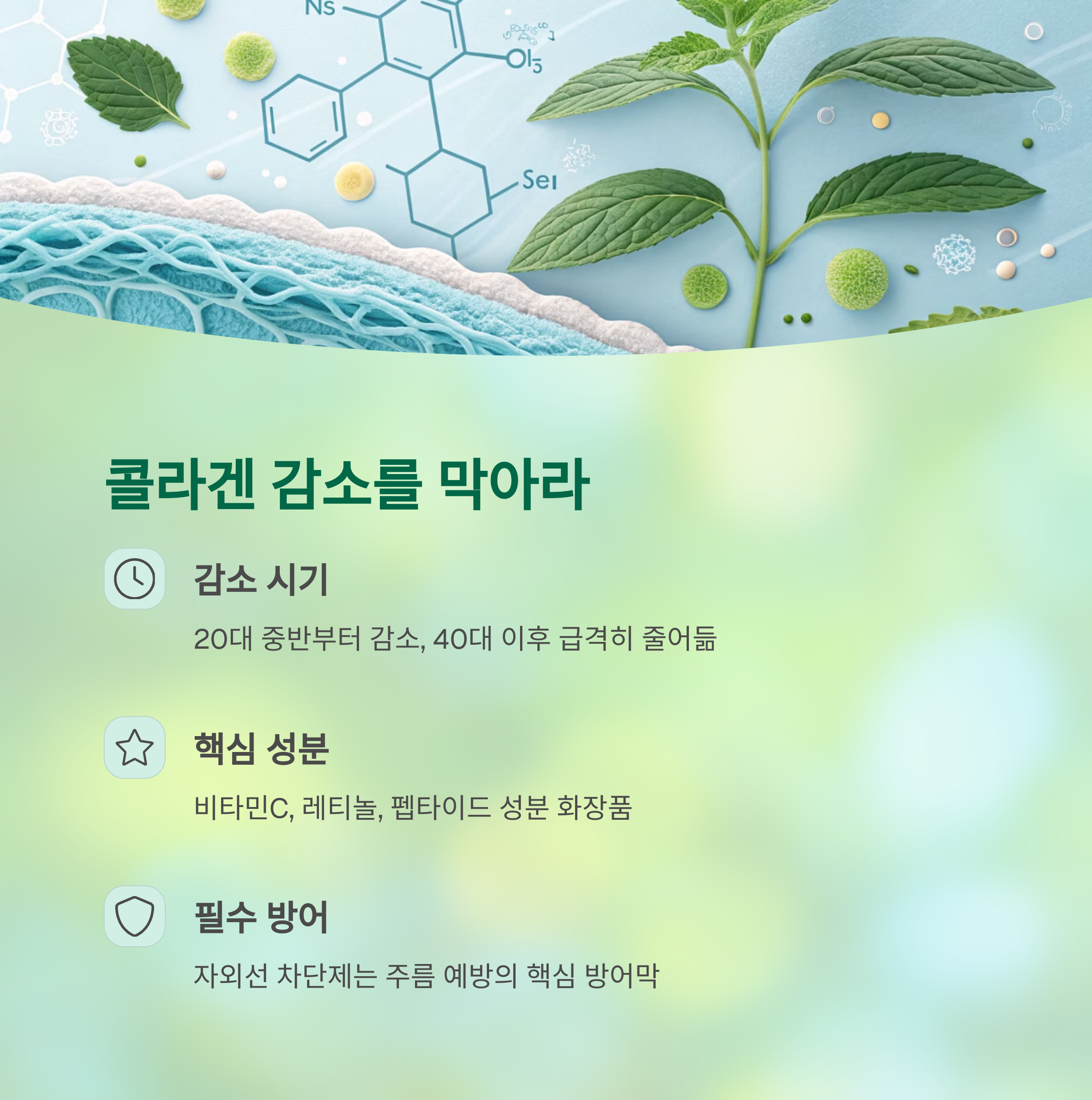주름을 되돌리다: 중년 피부 탄력 회복의 과학적 비밀 - 중년에도 가능한가요? 주름을 줄이고 탄력을 되찾는 법 - 콜라겐 감소를 막아야 주름이 멈춥니다 주름을 되돌리다: 중년 피부 탄력 회복의 과학적 비밀 - 중년에도 가능한가요? 주름을 줄이고 탄력을 되찾는 법 - 콜라겐 감소를 막아야 주름이 멈춥니다