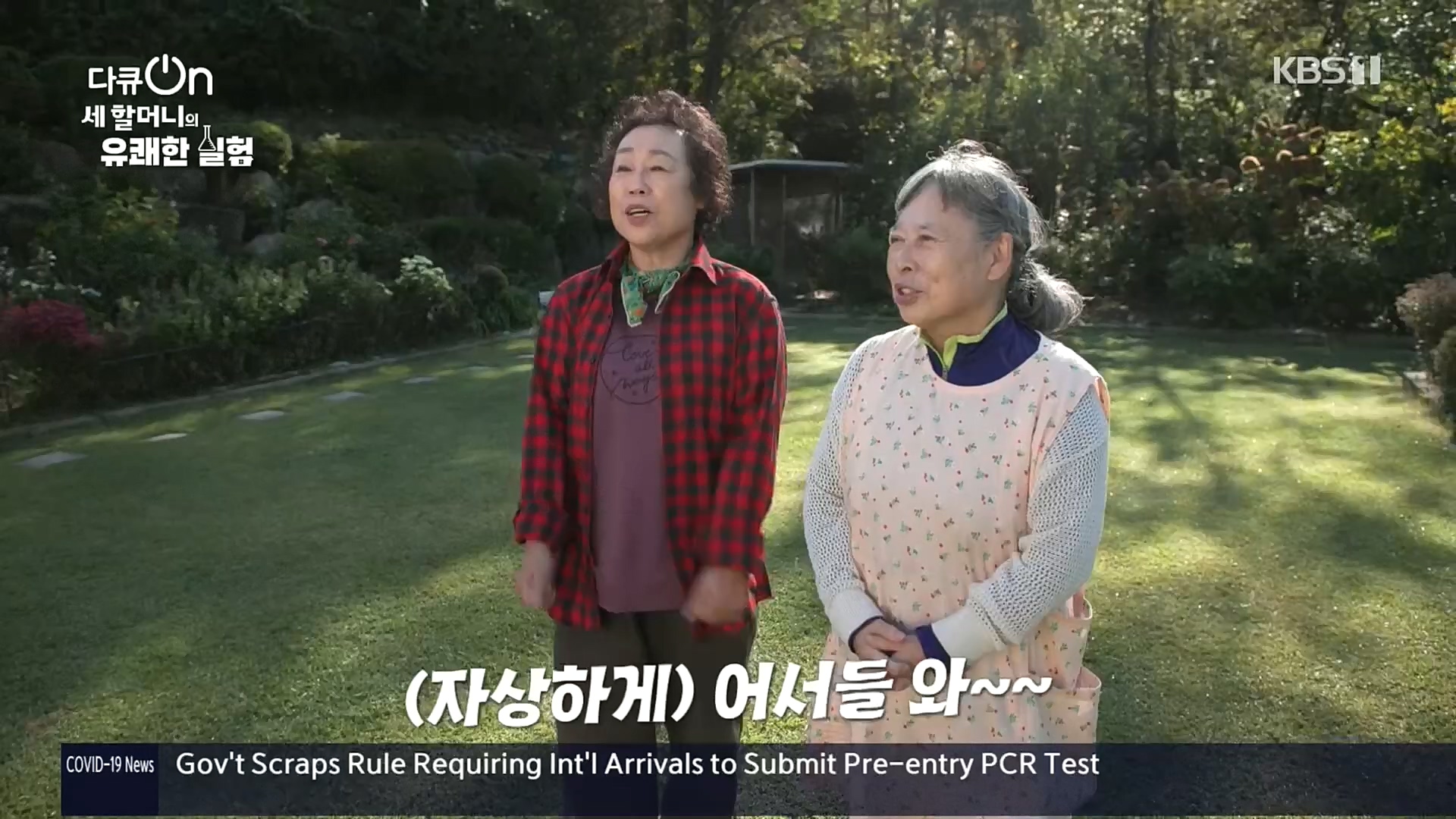 다큐 On.E166.221028p.H264-F1RST.mp4_20221031_194407.431.jpg