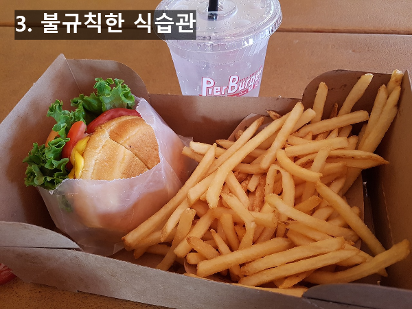 3. 불규칙한 식습관
