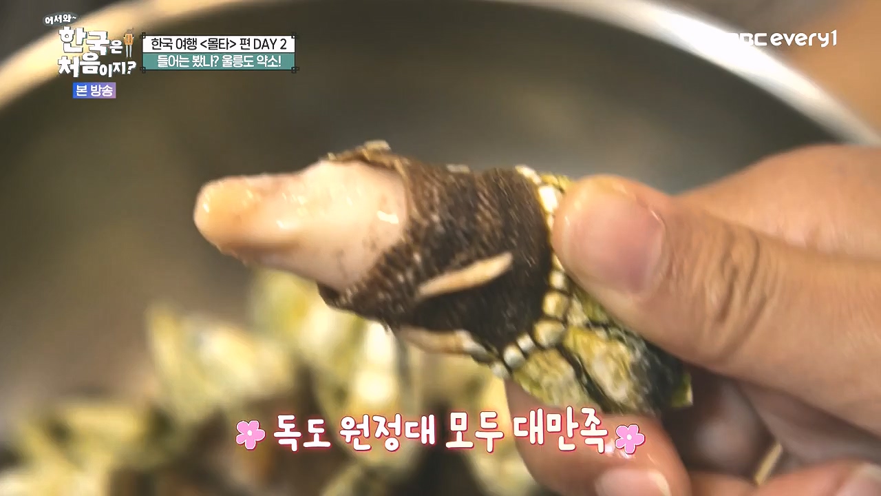 어서와 한국은 처음이지 시즌2.E326.240809p-NEXT.mp4_20240809_202044.602.jpg