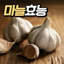 마늘의 효능