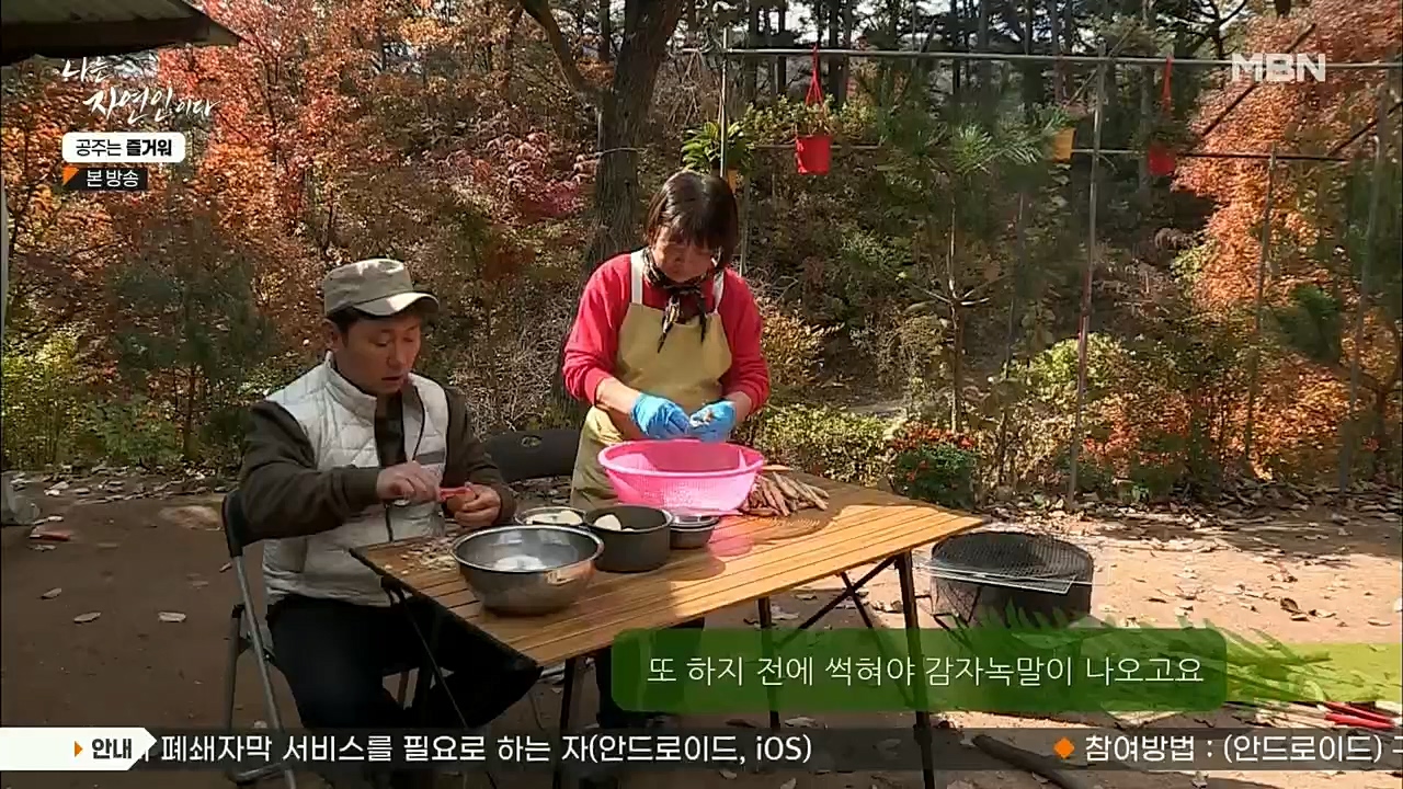 나는 자연인이다.E528.221117p.H264-F1RST.mp4_20221119_185616.116.jpg