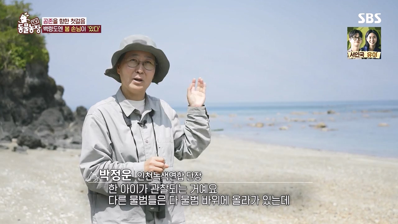 TV 동물농장.E1183.240805p-NEXT.mp4_20240804_155000.300.jpg