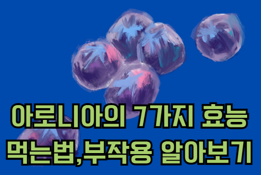 아로니아 효능