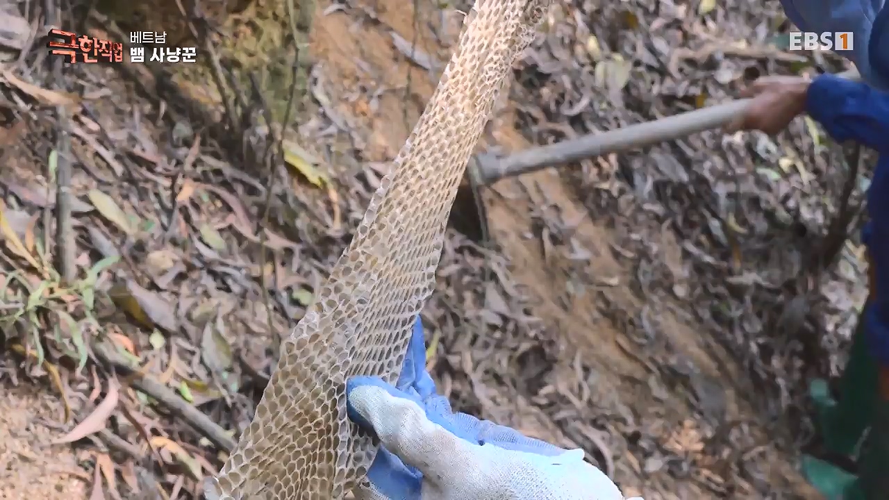 TV - 전 국민의 평생학교 EBS베트남 뱀 마을 사람들.mp4_20240615_170537.437.jpg