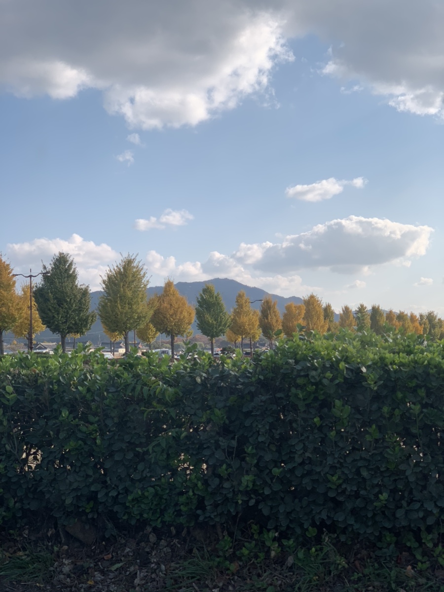 / 애플카 플레이어 쏘카 캐스퍼 시승기 4