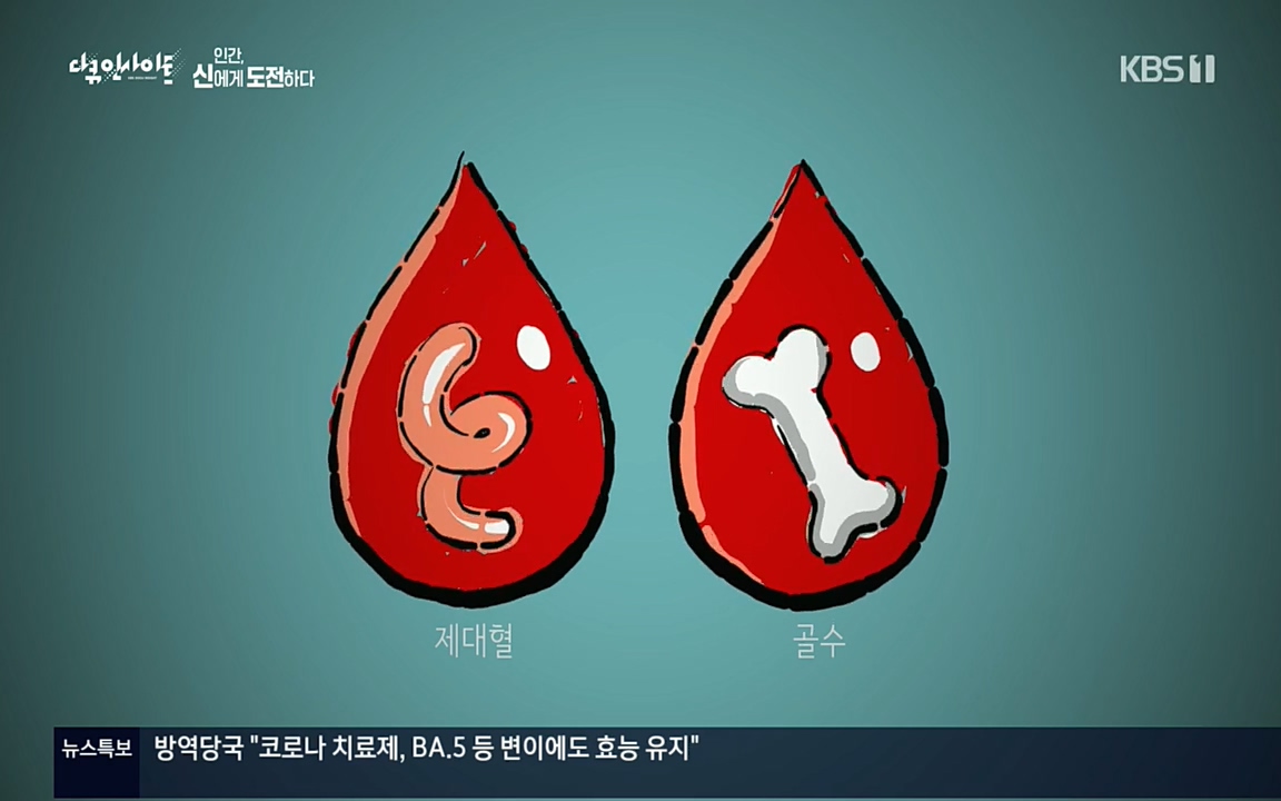 다큐 인사이트.E121.220819p.H264-F1RST.mp4_20220822_174851.267.jpg