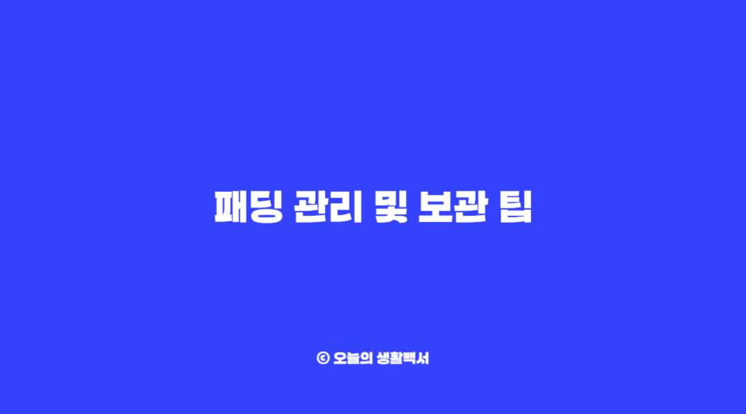 패딩 관리 및 보관 팁
