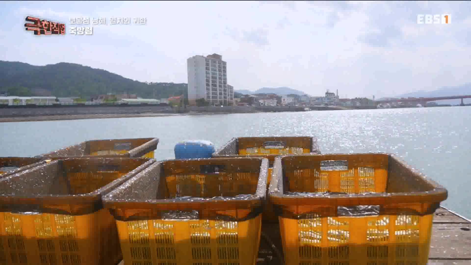 극한 직업 - 보물섬 남해, 멸치의 귀환 1080p.mp4_20230612_202042.176.jpg