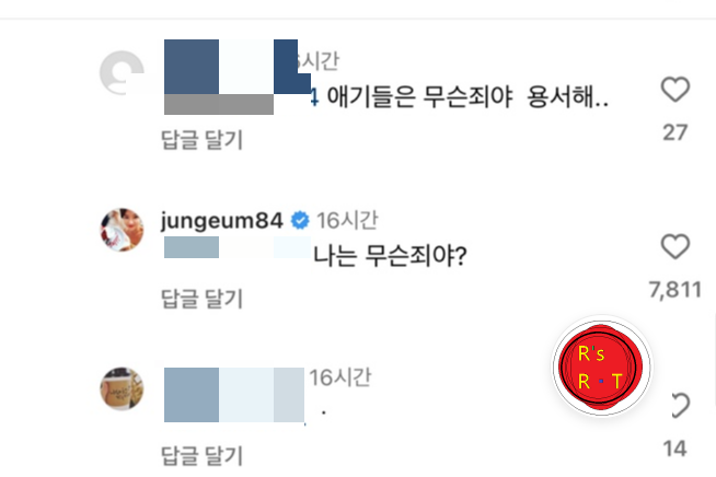 황정음_인스타_댓글_사진출처_황정음_인스타그램_캡쳐