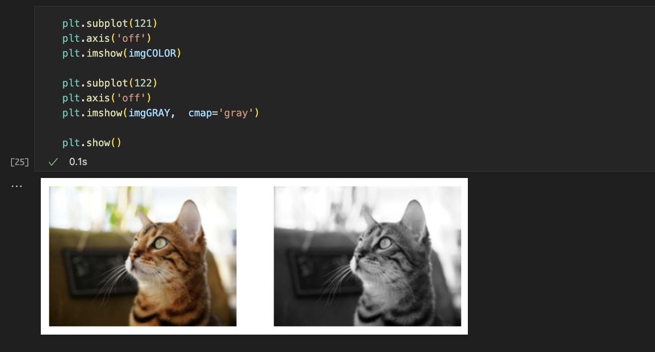 [OpenCV] Matplotlib을 이용한 영상 출력