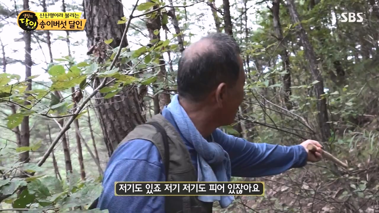 생활의 달인.E907.231010p-NEXT.mp4_20231010_203832.669.jpg