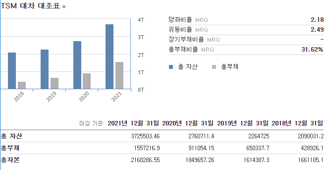 tsm-대차대조표