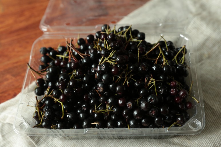 효능소개 아로니아 7