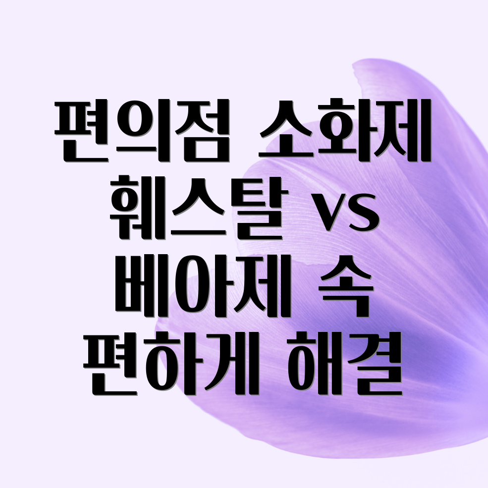 편의점 소화제