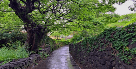 운전자보험 필요성 알아보기