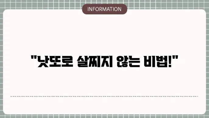 다이어트 낫또