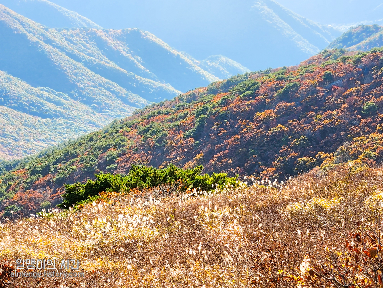 울산 신불산 백패킹 - 텐트 밖은 영남알프스 #23-2 울산 신불산 백패킹 - 텐트 밖은 영남알프스 #23-2