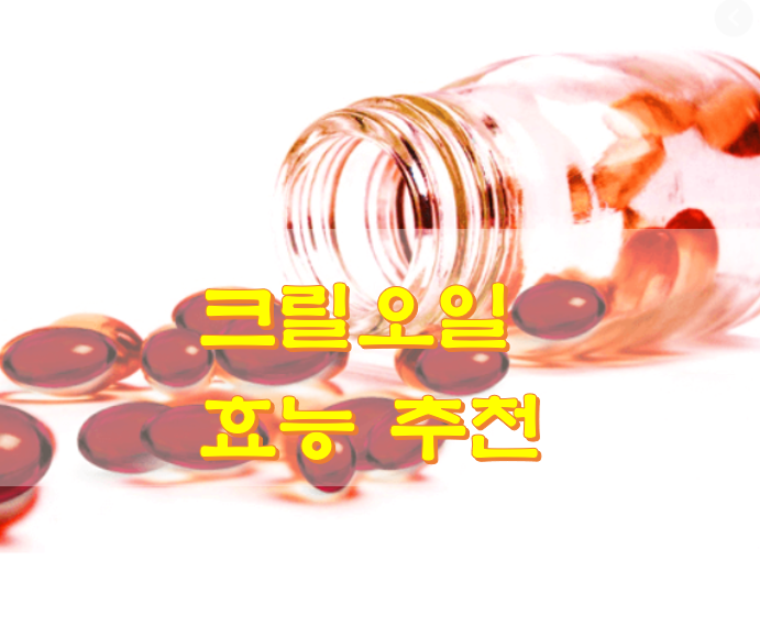  크릴오일 효능 추천