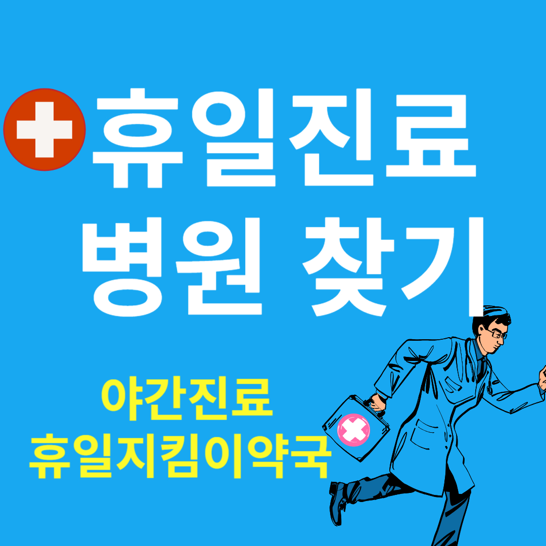 휴일진료 병원