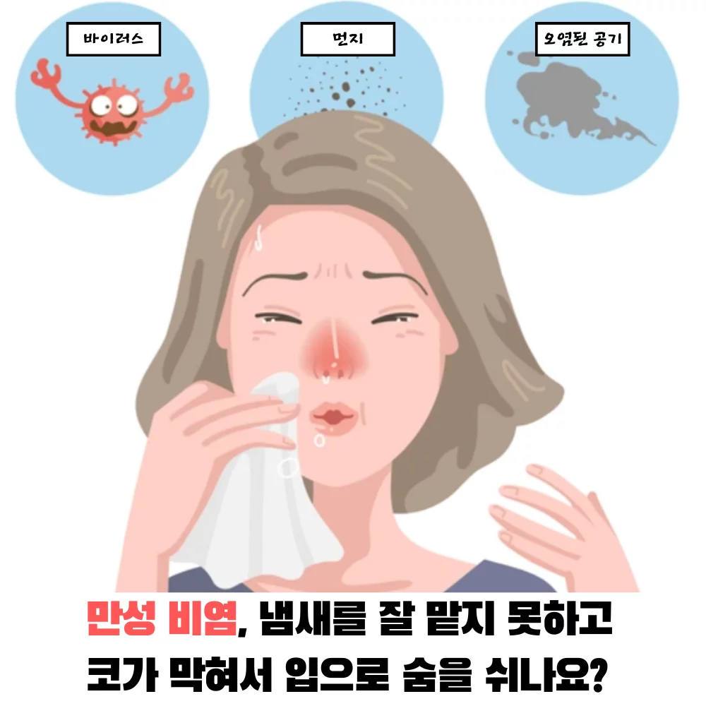 만성-비염