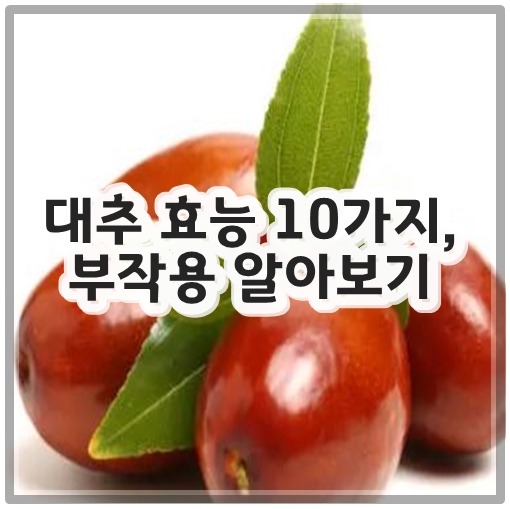 대추 효능 10가지&#44; 부작용 알아보기