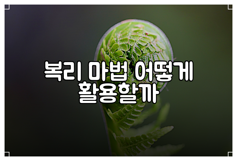 복리 마법 어떻게 활용할까