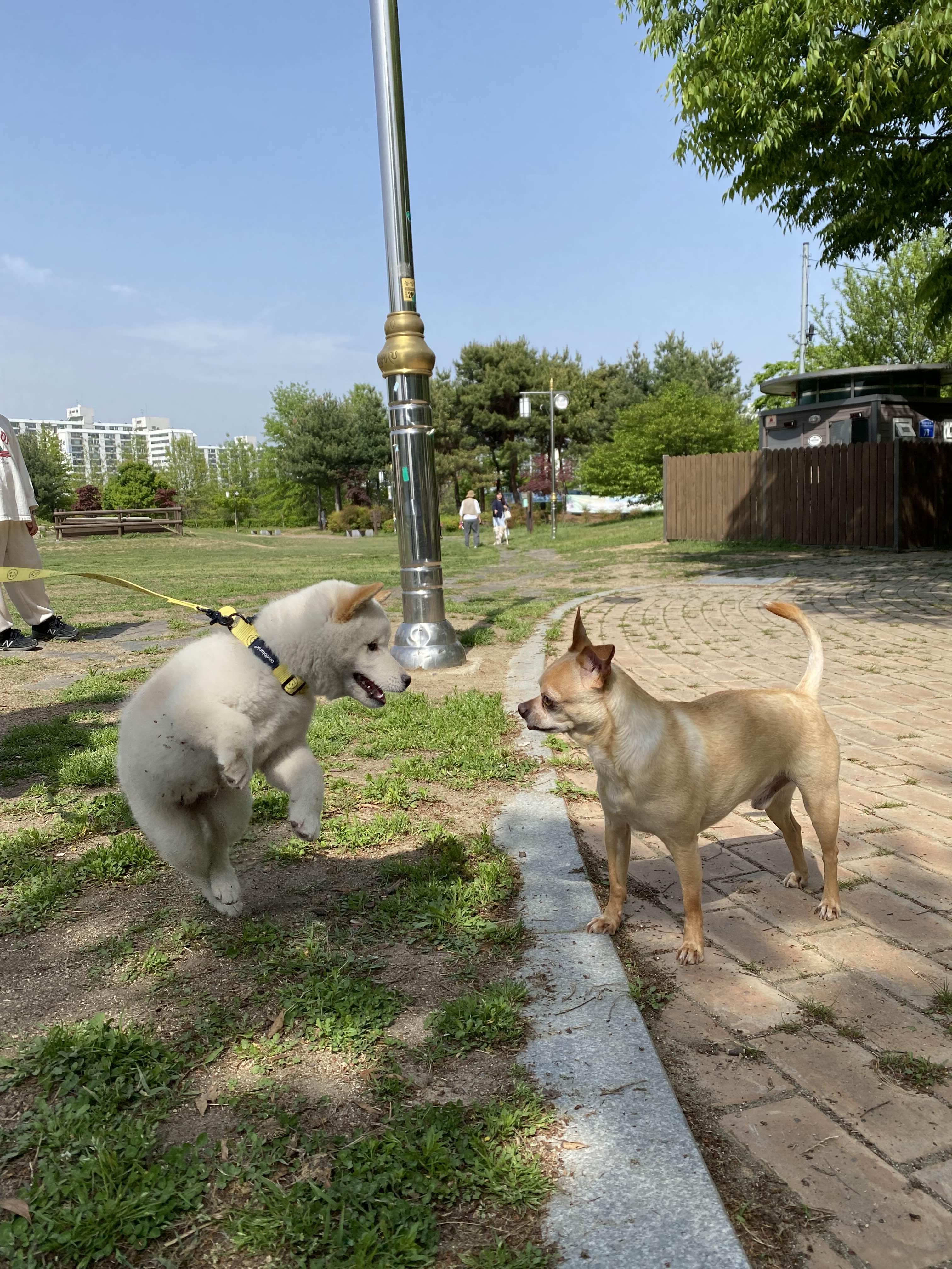 alt 태그