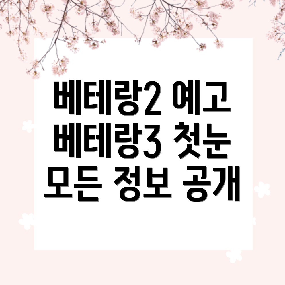 베테랑3