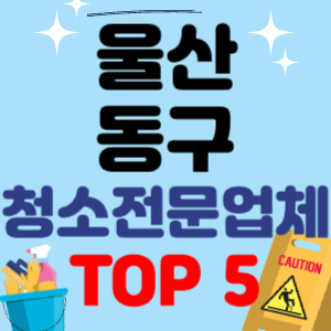 울산 동구 입주청소 비용 가격 전문 아파트 후기 업체 이사청소 원룸청소 추천 견적 TOP 5