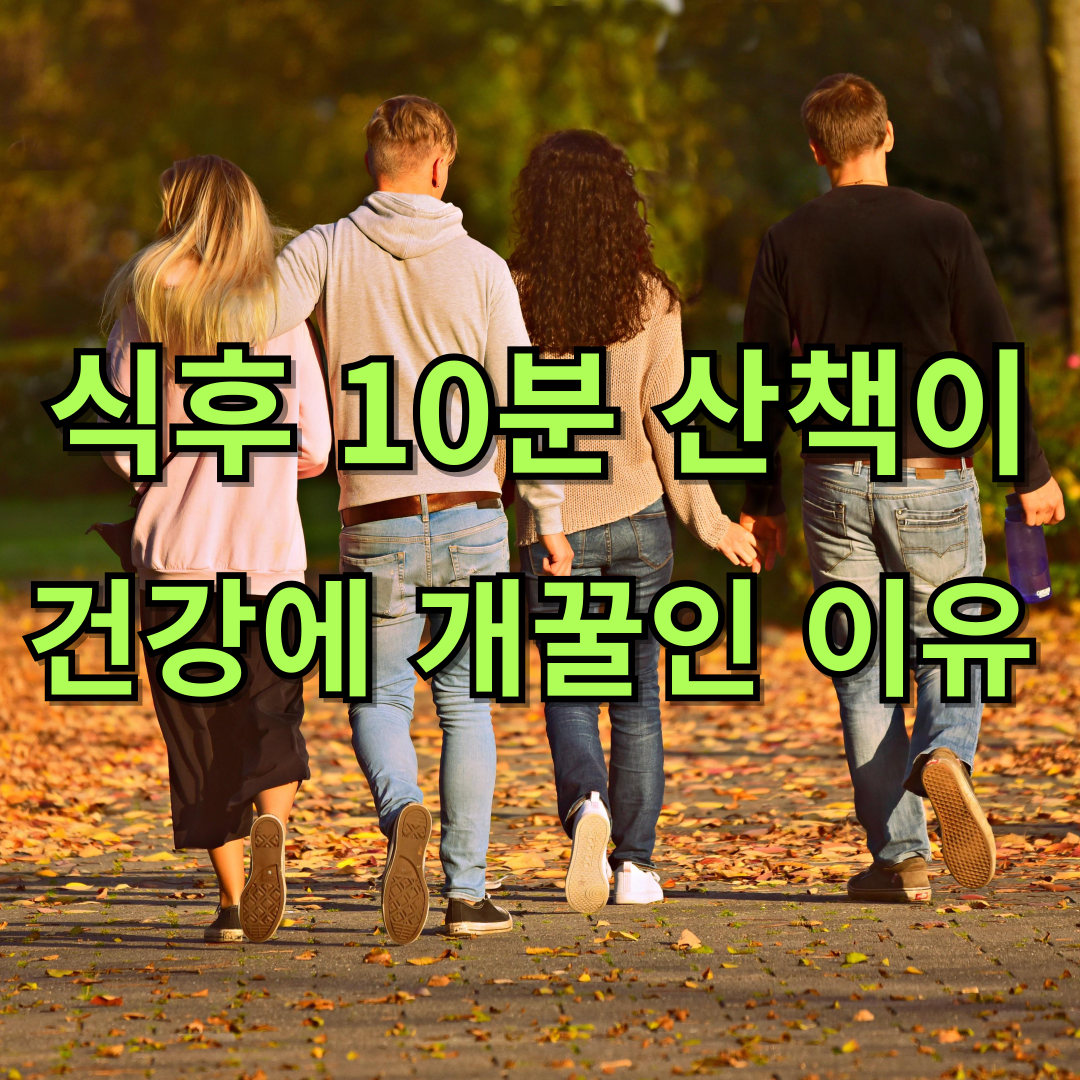 식사 후 10분 산책이 건강에 어떤 도움을 줄까요?