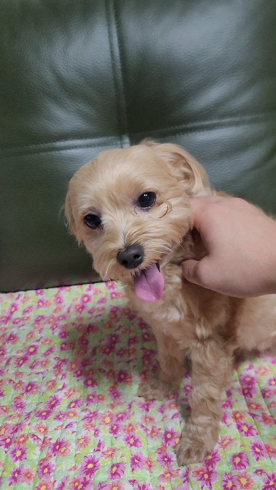 김해준_인스타그램_이미지