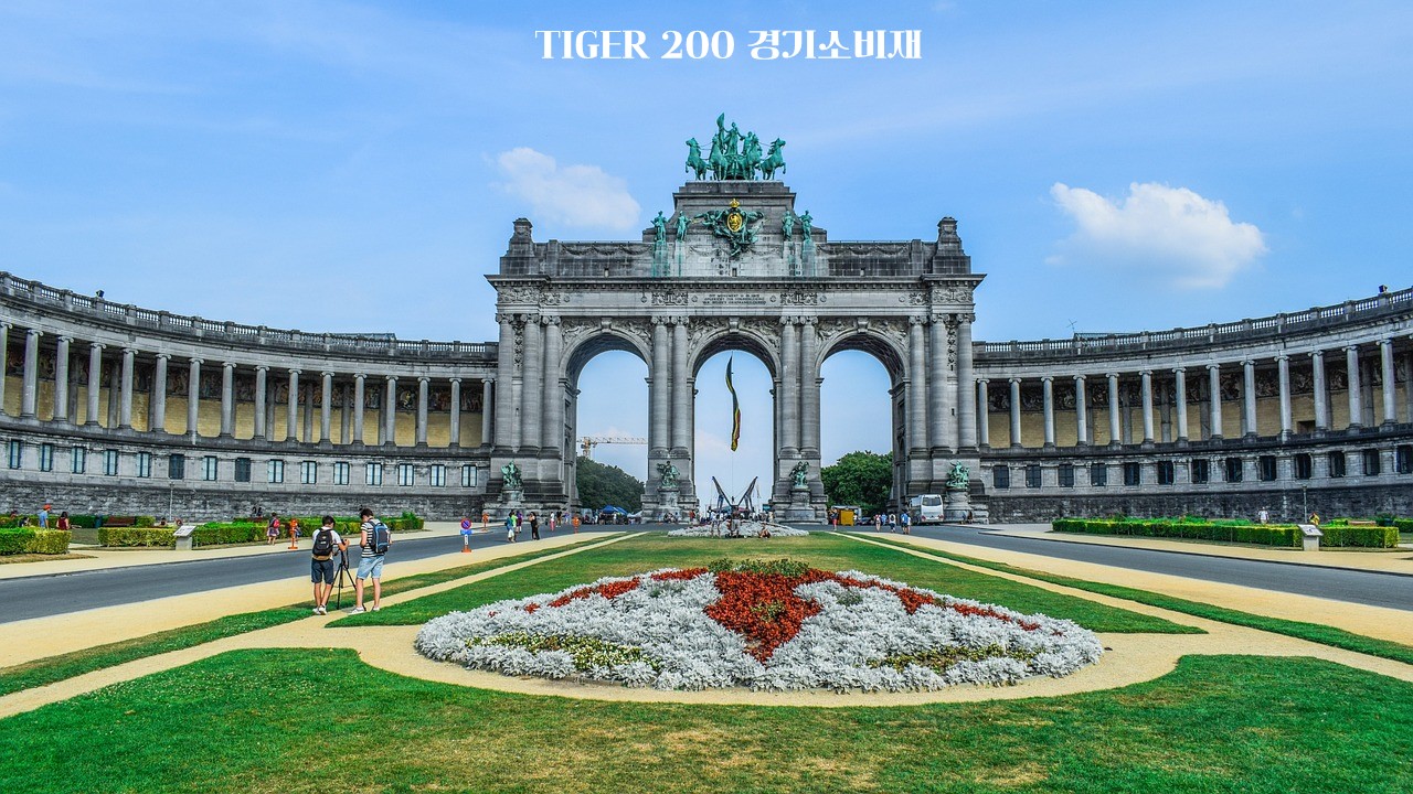 TIGER 200 경기소비재/139290
