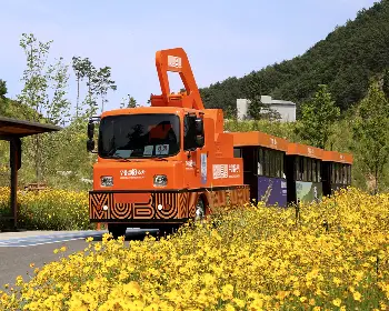 무릉별유천지 라벤더 축제_38