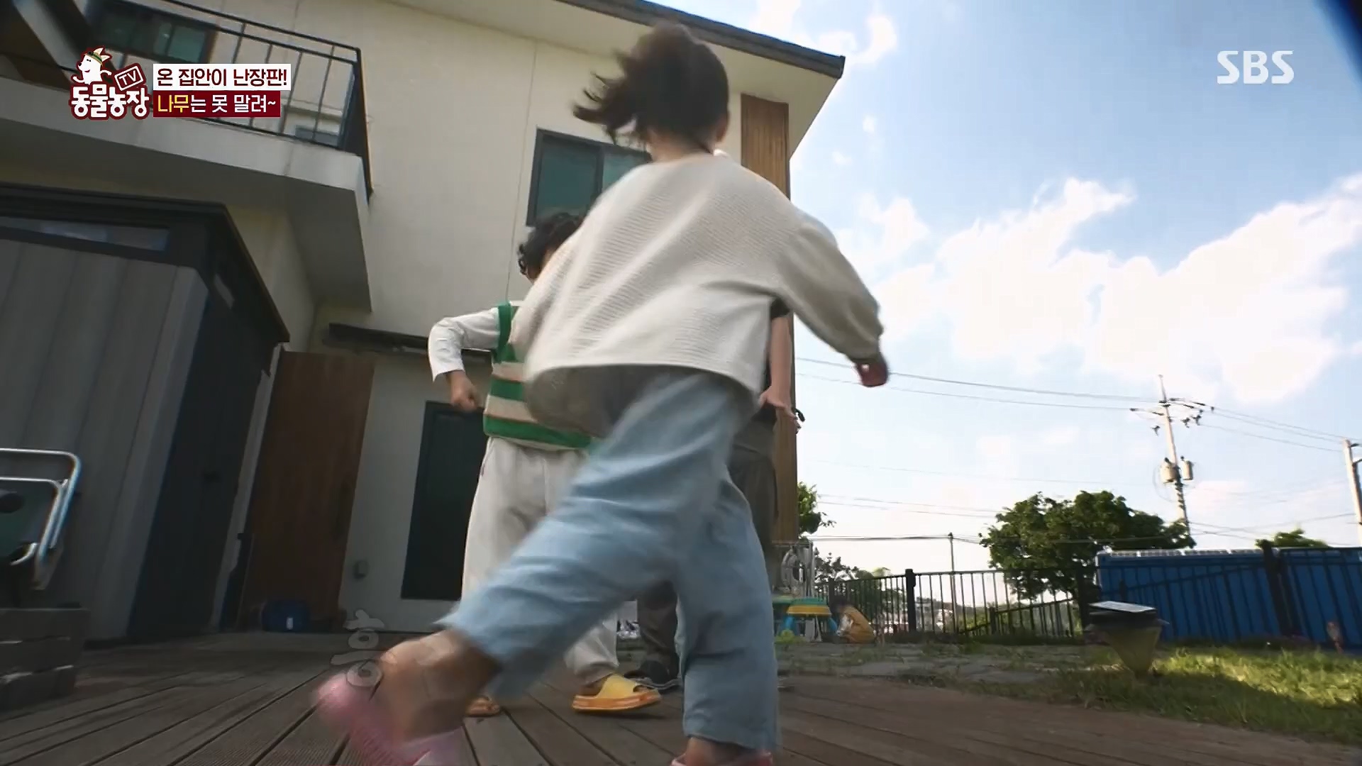 TV 동물농장.E1123.230604p.H264-F1RST.mp4_20230604_173255.144.jpg